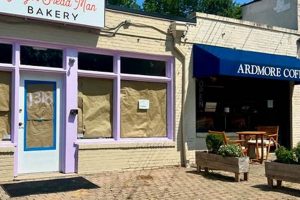 Best Vegan Bakery in Winston Salem: Treats & More! | Discover Delicious Vegan Food, Beauty Swaps, and Zero-Waste Tips for a Greener Life
