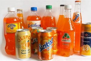 The Ultimate Vegan Fizzy Drinks Guide: Brands & More! Discover Delicious Vegan Food, Beauty Swaps, and Zero-Waste Tips for a Greener Life The Ultimate Vegan Fizzy Drinks Guide: Brands & More! | Discover Delicious Vegan Food, Beauty Swaps, and Zero-Waste Tips for a Greener Life