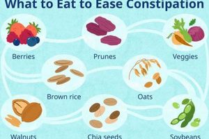 Vegan Diet & Constipation: Relief and Prevention Tips | Discover Delicious Vegan Food, Beauty Swaps, and Zero-Waste Tips for a Greener Life