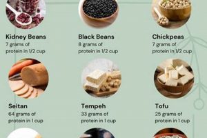 Vegan Protein Power: Crossword Solver's Secret Discover Delicious Vegan Food, Beauty Swaps, and Zero-Waste Tips for a Greener Life Vegan Protein Power: Crossword Solver's Secret | Discover Delicious Vegan Food, Beauty Swaps, and Zero-Waste Tips for a Greener Life