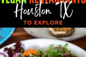 Best Vegan Restaurant Nice: Your Guide & Reviews Discover Delicious Vegan Food, Beauty Swaps, and Zero-Waste Tips for a Greener Life Best Vegan Restaurant Nice: Your Guide & Reviews | Discover Delicious Vegan Food, Beauty Swaps, and Zero-Waste Tips for a Greener Life