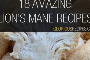 Easy Vegan Lion's Mane Recipe: A Culinary Delight! | Discover Delicious Vegan Food, Beauty Swaps, and Zero-Waste Tips for a Greener Life