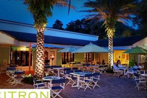 Guide to Vegan Restaurants in Vero Beach, FL Today | Discover Delicious Vegan Food, Beauty Swaps, and Zero-Waste Tips for a Greener Life