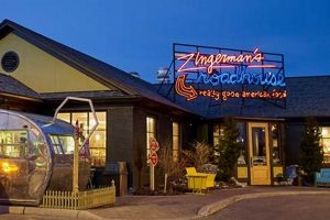 Ann Arbor's Best Vegan Restaurants: A Michigan Guide Discover Delicious Vegan Food, Beauty Swaps, and Zero-Waste Tips for a Greener Life Ann Arbor's Best Vegan Restaurants: A Michigan Guide | Discover Delicious Vegan Food, Beauty Swaps, and Zero-Waste Tips for a Greener Life