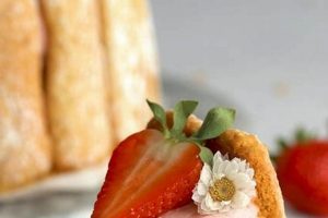 Best Vegan Desserts in Charlotte: Sweet Treats & More Discover Delicious Vegan Food, Beauty Swaps, and Zero-Waste Tips for a Greener Life Best Vegan Desserts in Charlotte: Sweet Treats & More | Discover Delicious Vegan Food, Beauty Swaps, and Zero-Waste Tips for a Greener Life