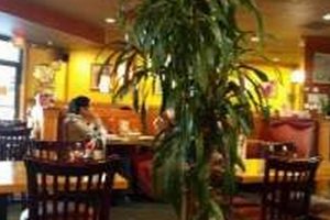 Best Vegan Restaurants in Sunnyvale, CA: Guide & More Discover Delicious Vegan Food, Beauty Swaps, and Zero-Waste Tips for a Greener Life Best Vegan Restaurants in Sunnyvale, CA: Guide & More | Discover Delicious Vegan Food, Beauty Swaps, and Zero-Waste Tips for a Greener Life