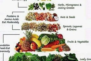 Vegan Diet Pyramid Guide: Build Your Plate Right! Discover Delicious Vegan Food, Beauty Swaps, and Zero-Waste Tips for a Greener Life Vegan Diet Pyramid Guide: Build Your Plate Right! | Discover Delicious Vegan Food, Beauty Swaps, and Zero-Waste Tips for a Greener Life