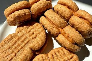 Vegan Nutter Butter? The Truth + Alternatives Discover Delicious Vegan Food, Beauty Swaps, and Zero-Waste Tips for a Greener Life Vegan Nutter Butter? The Truth + Alternatives | Discover Delicious Vegan Food, Beauty Swaps, and Zero-Waste Tips for a Greener Life