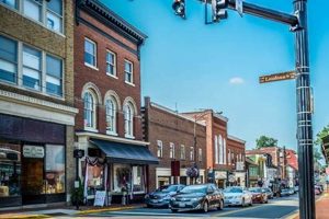 Your Guide: Vegan Restaurants in Leesburg, VA Options Discover Delicious Vegan Food, Beauty Swaps, and Zero-Waste Tips for a Greener Life Your Guide: Vegan Restaurants in Leesburg, VA Options | Discover Delicious Vegan Food, Beauty Swaps, and Zero-Waste Tips for a Greener Life