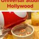 Guide to Universal Studios Vegan Food Options in 2024 | Discover Delicious Vegan Food, Beauty Swaps, and Zero-Waste Tips for a Greener Life