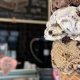 Top Rated: Best Vegan Ice Cream NYC - Guide | Discover Delicious Vegan Food, Beauty Swaps, and Zero-Waste Tips for a Greener Life