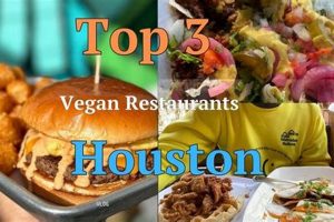 Best Vegan Restaurants Near Lincoln Center: Eat Plant-Based! | Discover Delicious Vegan Food, Beauty Swaps, and Zero-Waste Tips for a Greener Life