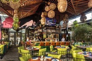 Best Wynwood Vegan Restaurants: Your Guide & More Discover Delicious Vegan Food, Beauty Swaps, and Zero-Waste Tips for a Greener Life Best Wynwood Vegan Restaurants: Your Guide & More | Discover Delicious Vegan Food, Beauty Swaps, and Zero-Waste Tips for a Greener Life