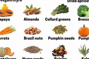 Vegan Diet for Hair Growth? Tips & Guide | Discover Delicious Vegan Food, Beauty Swaps, and Zero-Waste Tips for a Greener Life