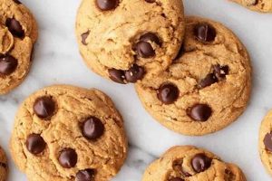 Plant-Based Treats: Are Vegan Cookies Good for You? Yes & No | Discover Delicious Vegan Food, Beauty Swaps, and Zero-Waste Tips for a Greener Life