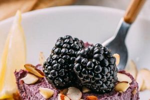 Easy Vegan Blackberry Dessert Recipes: Delight Awaits! Discover Delicious Vegan Food, Beauty Swaps, and Zero-Waste Tips for a Greener Life Easy Vegan Blackberry Dessert Recipes: Delight Awaits! | Discover Delicious Vegan Food, Beauty Swaps, and Zero-Waste Tips for a Greener Life