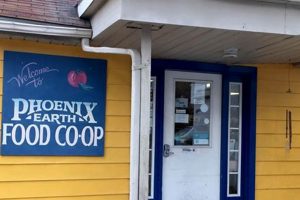 Best Vegan Restaurants in Toledo, OH: Find Yours! | Discover Delicious Vegan Food, Beauty Swaps, and Zero-Waste Tips for a Greener Life