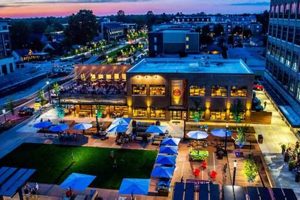 Find Best Vegan Restaurants in Carmel, IN [Guide] | Discover Delicious Vegan Food, Beauty Swaps, and Zero-Waste Tips for a Greener Life