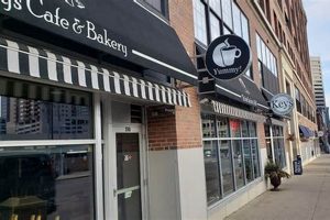 Best Vegan Bakery St Paul: Sweet Treats & More | Discover Delicious Vegan Food, Beauty Swaps, and Zero-Waste Tips for a Greener Life