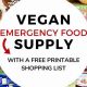 Plant-Based Vegan Emergency Food Kits: Your Safety Food | Discover Delicious Vegan Food, Beauty Swaps, and Zero-Waste Tips for a Greener Life