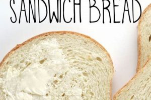 Easy Vegan Sandwich Bread Recipe: Soft & Delicious! Discover Delicious Vegan Food, Beauty Swaps, and Zero-Waste Tips for a Greener Life Easy Vegan Sandwich Bread Recipe: Soft & Delicious! | Discover Delicious Vegan Food, Beauty Swaps, and Zero-Waste Tips for a Greener Life