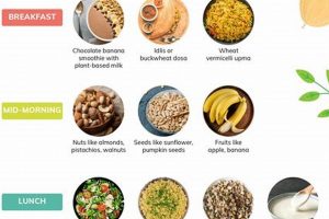 Easy Vegan Diet Plan PDF: Guide & Tips | Discover Delicious Vegan Food, Beauty Swaps, and Zero-Waste Tips for a Greener Life