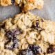 Easy Vegan Gluten Free Oatmeal Raisin Cookies Recipe | Discover Delicious Vegan Food, Beauty Swaps, and Zero-Waste Tips for a Greener Life