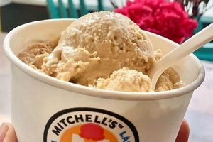 Cleveland Vegan Ice Cream: Guide + Local Treats Discover Delicious Vegan Food, Beauty Swaps, and Zero-Waste Tips for a Greener Life Cleveland Vegan Ice Cream: Guide + Local Treats | Discover Delicious Vegan Food, Beauty Swaps, and Zero-Waste Tips for a Greener Life