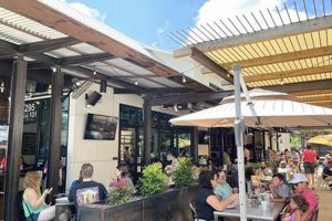 Best Vegan Restaurants in New Braunfels, TX: Guide Discover Delicious Vegan Food, Beauty Swaps, and Zero-Waste Tips for a Greener Life Best Vegan Restaurants in New Braunfels, TX: Guide | Discover Delicious Vegan Food, Beauty Swaps, and Zero-Waste Tips for a Greener Life