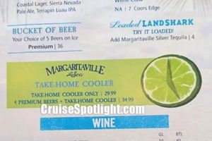 Your Guide to a Vegan Margaritaville Menu Oasis | Discover Delicious Vegan Food, Beauty Swaps, and Zero-Waste Tips for a Greener Life