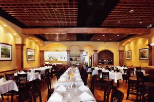 Best Vegan Restaurants in Petaluma, CA: Your Guide | Discover Delicious Vegan Food, Beauty Swaps, and Zero-Waste Tips for a Greener Life