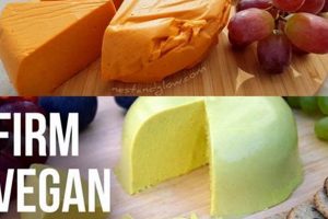 The Best Vegan Hard Cheese Guide: Types & Tips | Discover Delicious Vegan Food, Beauty Swaps, and Zero-Waste Tips for a Greener Life