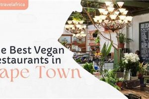 Guide to Vegan Restaurants in Cape May, NJ Today | Discover Delicious Vegan Food, Beauty Swaps, and Zero-Waste Tips for a Greener Life
