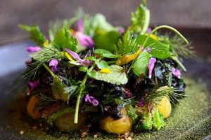 Top Michelin Vegan Restaurants NYC: A Foodie's Guide | Discover Delicious Vegan Food, Beauty Swaps, and Zero-Waste Tips for a Greener Life