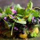 Top Michelin Vegan Restaurants NYC: A Foodie's Guide | Discover Delicious Vegan Food, Beauty Swaps, and Zero-Waste Tips for a Greener Life