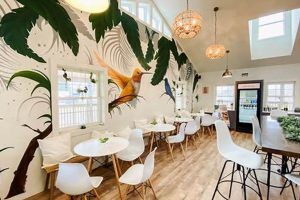 Guide to Newport Vegan Restaurants: Find Your Feast! | Discover Delicious Vegan Food, Beauty Swaps, and Zero-Waste Tips for a Greener Life