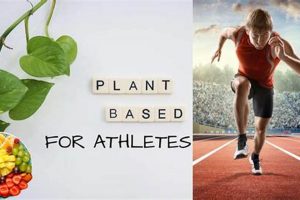 The Vegan Athlete Diet Book: Fuel Your Performance Now! | Discover Delicious Vegan Food, Beauty Swaps, and Zero-Waste Tips for a Greener Life