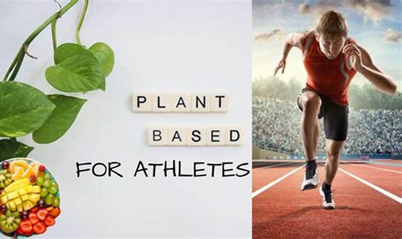 The Vegan Athlete Diet Book: Fuel Your Performance Now! Discover Delicious Vegan Food, Beauty Swaps, and Zero-Waste Tips for a Greener Life The Vegan Athlete Diet Book: Fuel Your Performance Now! | Discover Delicious Vegan Food, Beauty Swaps, and Zero-Waste Tips for a Greener Life