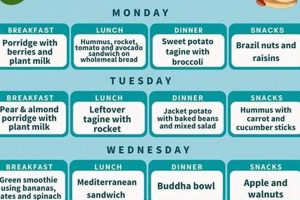 Easy Vegan Meal Plan for Weight Loss (Quick Guide) | Discover Delicious Vegan Food, Beauty Swaps, and Zero-Waste Tips for a Greener Life