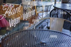 The Ultimate Vegan Restaurant Oak Park Guide + Tips Discover Delicious Vegan Food, Beauty Swaps, and Zero-Waste Tips for a Greener Life The Ultimate Vegan Restaurant Oak Park Guide + Tips | Discover Delicious Vegan Food, Beauty Swaps, and Zero-Waste Tips for a Greener Life