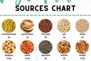 The Ultimate Vegan Protein Sources Chart: Fuel Your Body | Discover Delicious Vegan Food, Beauty Swaps, and Zero-Waste Tips for a Greener Life