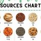 The Ultimate Vegan Protein Sources Chart: Fuel Your Body | Discover Delicious Vegan Food, Beauty Swaps, and Zero-Waste Tips for a Greener Life