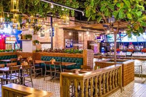 Best Vegan Restaurants in Orland Park, IL: Find Deals & More Discover Delicious Vegan Food, Beauty Swaps, and Zero-Waste Tips for a Greener Life Best Vegan Restaurants in Orland Park, IL: Find Deals & More | Discover Delicious Vegan Food, Beauty Swaps, and Zero-Waste Tips for a Greener Life