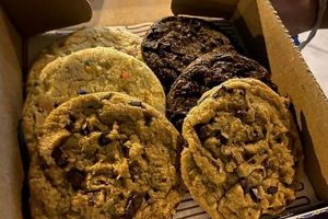 Best Vegan Cookies Chicago: Plant-Based & Delicious! Discover Delicious Vegan Food, Beauty Swaps, and Zero-Waste Tips for a Greener Life Best Vegan Cookies Chicago: Plant-Based & Delicious! | Discover Delicious Vegan Food, Beauty Swaps, and Zero-Waste Tips for a Greener Life