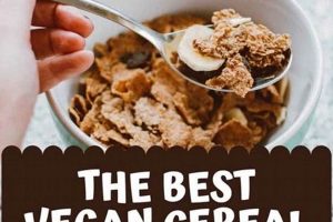 Best Gluten-Free Vegan Cereal: Brands & More! Discover Delicious Vegan Food, Beauty Swaps, and Zero-Waste Tips for a Greener Life Best Gluten-Free Vegan Cereal: Brands & More! | Discover Delicious Vegan Food, Beauty Swaps, and Zero-Waste Tips for a Greener Life