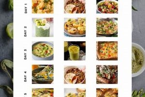 The Ultimate Low Carb Vegan Meal Plan: Recipes & Guide! Discover Delicious Vegan Food, Beauty Swaps, and Zero-Waste Tips for a Greener Life The Ultimate Low Carb Vegan Meal Plan: Recipes & Guide! | Discover Delicious Vegan Food, Beauty Swaps, and Zero-Waste Tips for a Greener Life