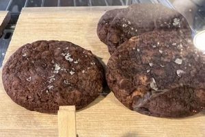 Best New Paltz Vegan Food: Guide & More! | Discover Delicious Vegan Food, Beauty Swaps, and Zero-Waste Tips for a Greener Life