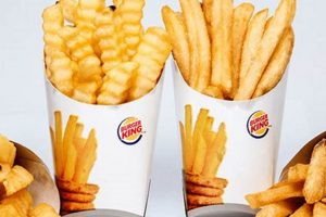 Best Vegan Fries Fast Food: Brands & Guide | Discover Delicious Vegan Food, Beauty Swaps, and Zero-Waste Tips for a Greener Life