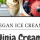 Easy Ninja Creami Vegan Recipes: Delicious & Healthy! | Discover Delicious Vegan Food, Beauty Swaps, and Zero-Waste Tips for a Greener Life