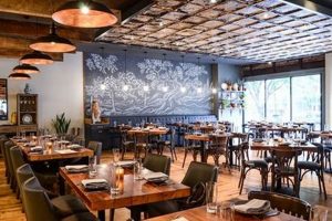 Best Vegan Restaurants in Wilmington, DE: Guide & More! | Discover Delicious Vegan Food, Beauty Swaps, and Zero-Waste Tips for a Greener Life